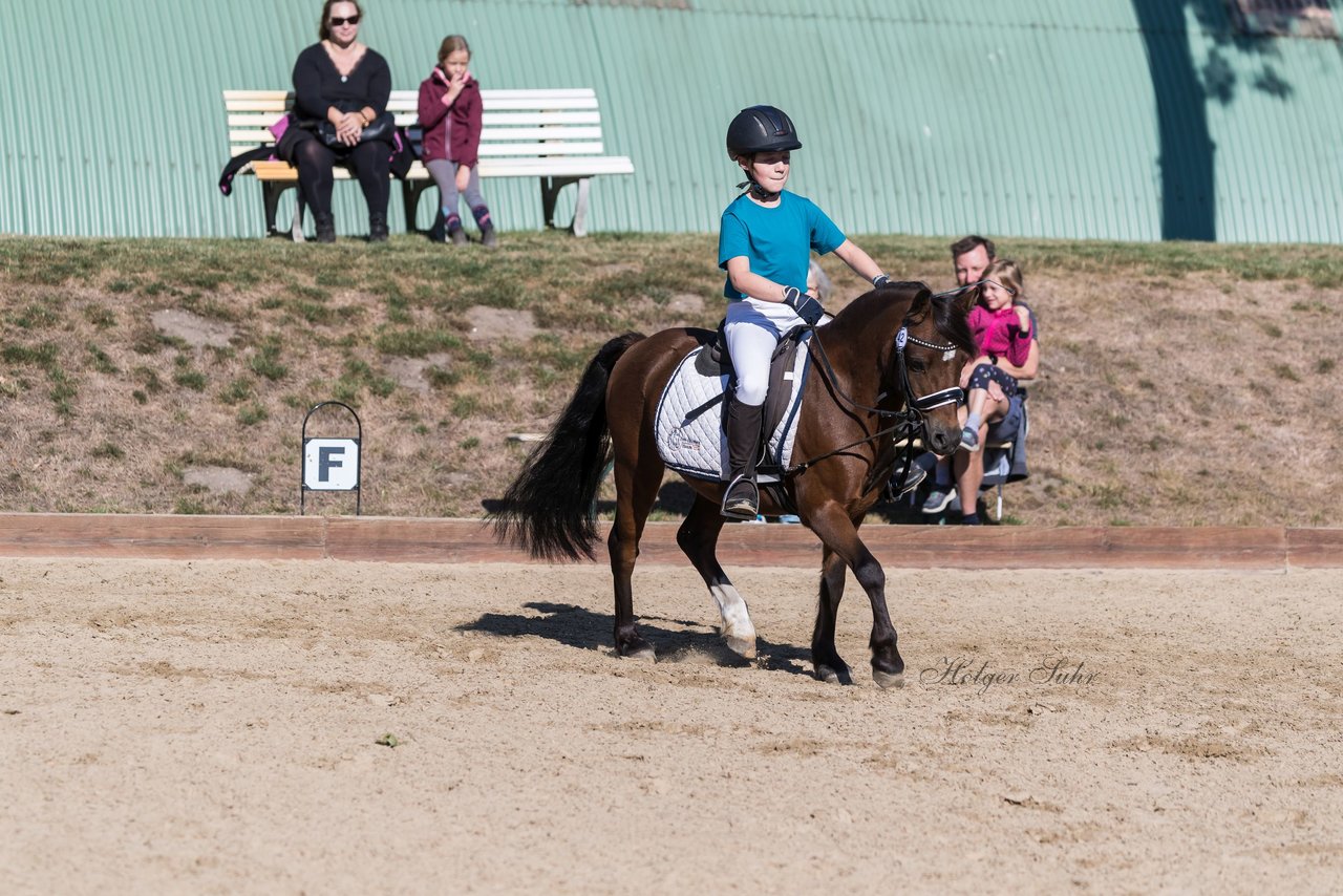 Bild 60 - Pony Akademie Turnier